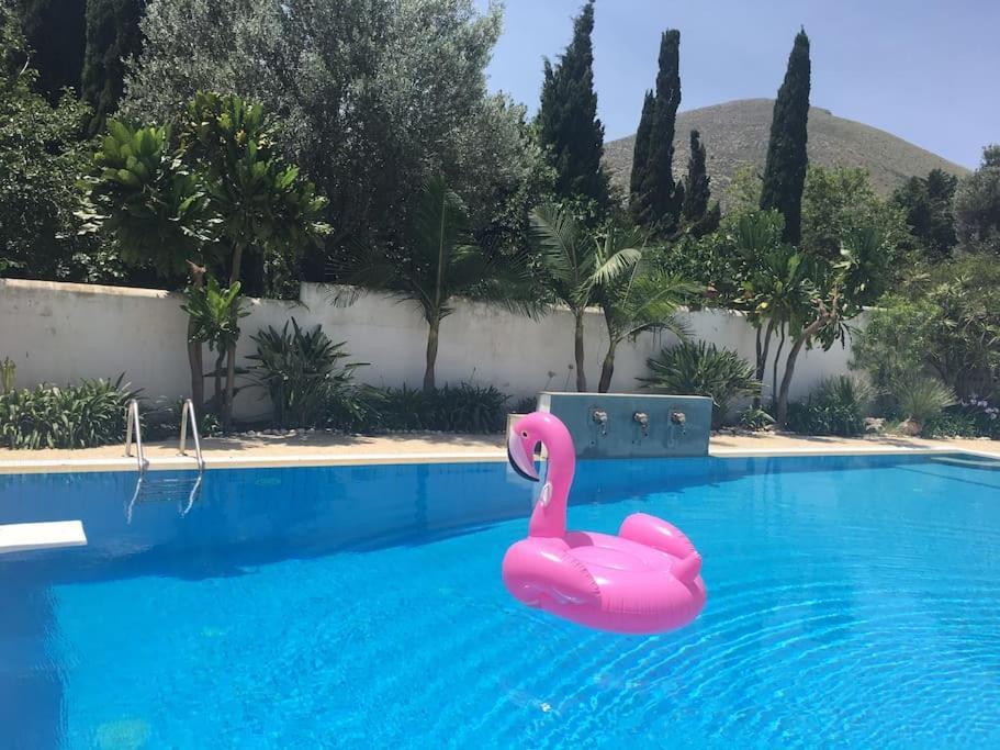 Villa Elloise Palermo Dış mekan fotoğraf