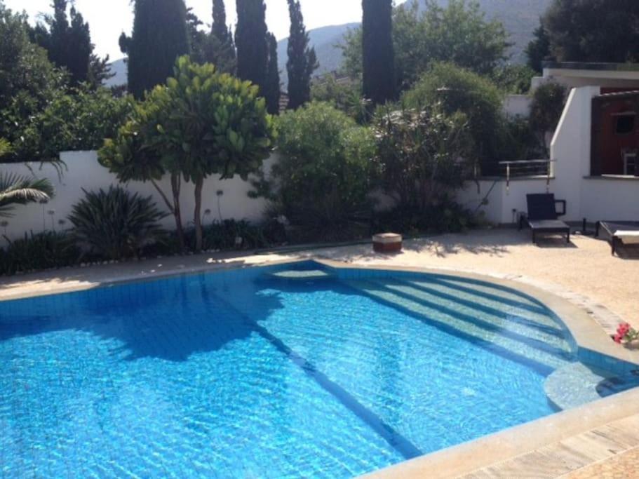 Villa Elloise Palermo Dış mekan fotoğraf