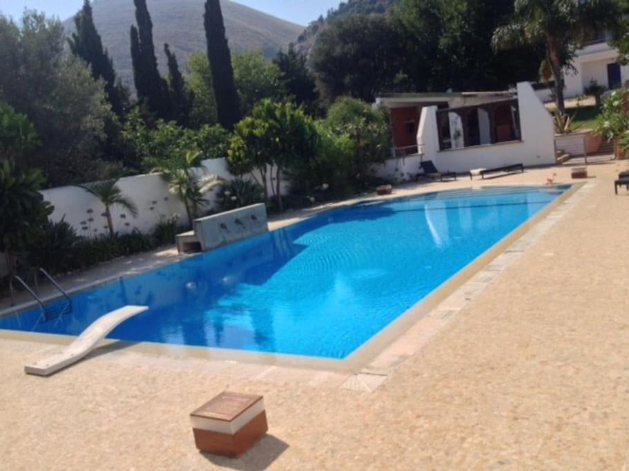 Villa Elloise Palermo Dış mekan fotoğraf